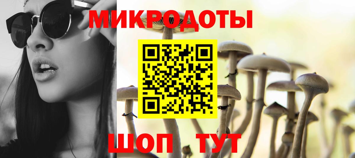 Псилоцибиновые грибы Psilocybine cubensis  Вход с VPN  что такое наркотик  Корсаков 